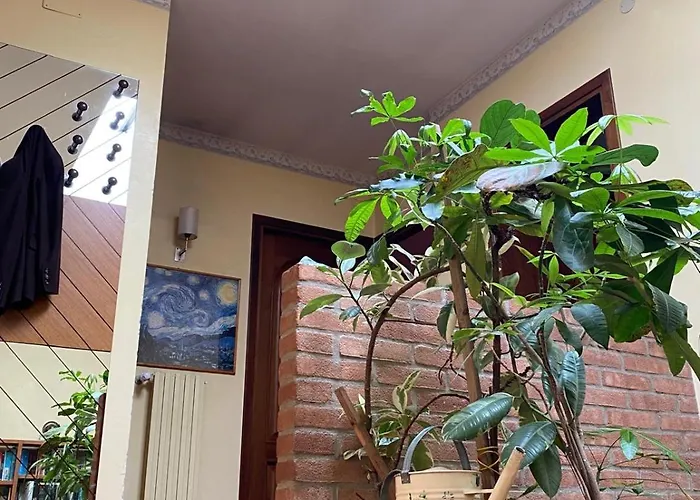 Dora E Flavio Country *